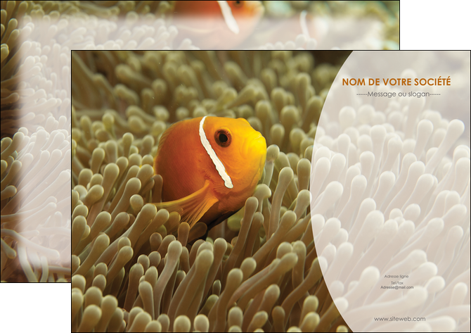 faire modele a imprimer flyers paysage belle photo nemo poisson MIDBE36878