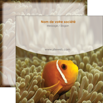 modele en ligne flyers paysage belle photo nemo poisson MIDBE36880