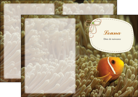 imprimer depliant 2 volets  4 pages  nemo drole humoristique MIDBE36892