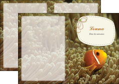 imprimer depliant 2 volets  4 pages  nemo drole humoristique MIF36892