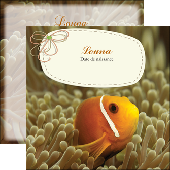personnaliser maquette flyers nemo drole humoristique MIF36900
