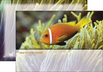 imprimerie affiche animal originale belle photo idee MIDBE37454