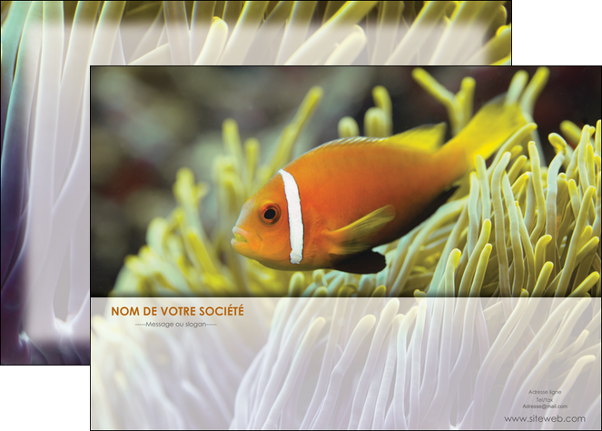 modele affiche animal originale belle photo idee MIDBE37466