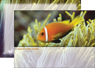 modele affiche animal originale belle photo idee MIDBE37466