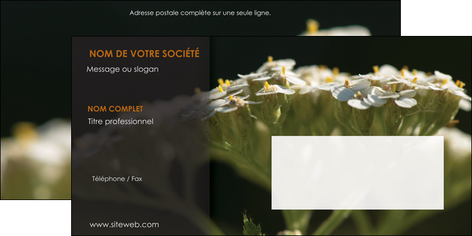 modele enveloppe fleuriste et jardinage plantes cactus fleurs MLGI37658