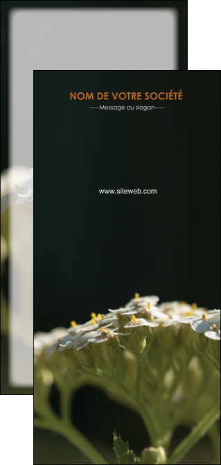 exemple flyers fleuriste et jardinage plantes cactus fleurs MLGI37674