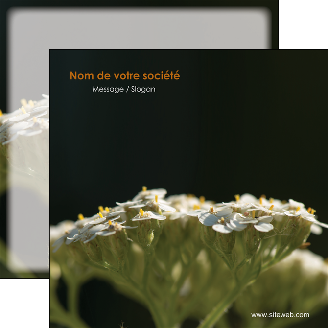 faire flyers fleuriste et jardinage plantes cactus fleurs MLGI37688