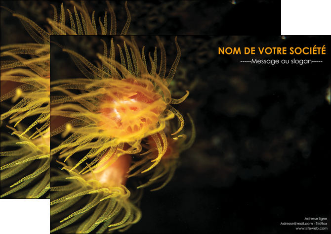 exemple affiche animal meduse fond de mer plongee MIDBE37792
