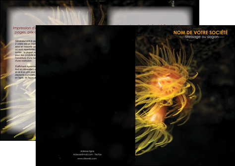 exemple depliant 2 volets  4 pages  animal meduse fond de mer plongee MIDBE37798