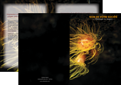 exemple depliant 2 volets  4 pages  animal meduse fond de mer plongee MIDBE37798