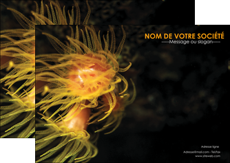 modele en ligne flyers animal meduse fond de mer plongee MIDBE37802