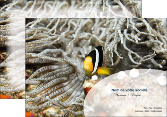 impression flyers animal poisson plongee nature MIDBE37928