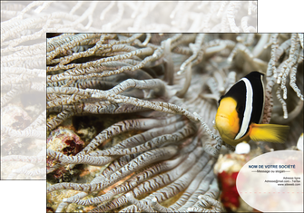 modele en ligne pochette a rabat animal poisson plongee nature MIDBE37936