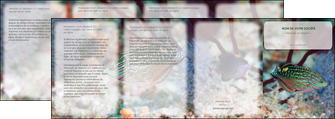 imprimerie depliant 4 volets  8 pages  plongee  poisson plongee nature MIDBE38152