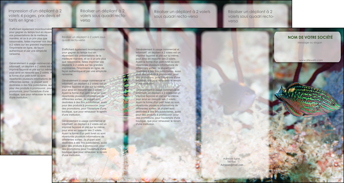 impression depliant 4 volets  8 pages  plongee  poisson plongee nature MIDBE38154