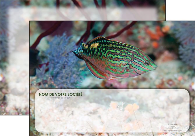 personnaliser maquette affiche plongee  poisson plongee nature MIDBE38156