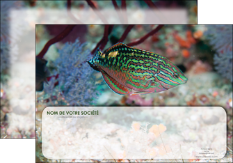 personnaliser maquette affiche plongee  poisson plongee nature MIDBE38156