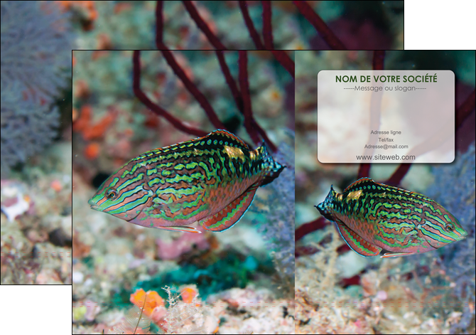 personnaliser modele de pochette a rabat plongee  poisson plongee nature MIDBE38160
