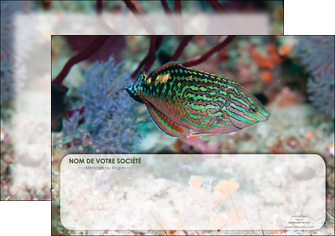 imprimerie affiche plongee  poisson plongee nature MIDBE38164