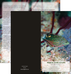 cree depliant 2 volets  4 pages  plongee  poisson plongee nature MIDBE38170