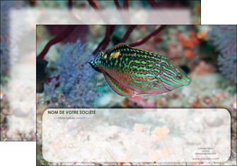 exemple affiche plongee  poisson plongee nature MIDBE38174