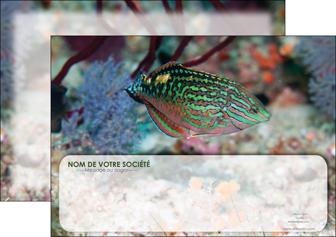 personnaliser maquette affiche plongee  poisson plongee nature MIDBE38176