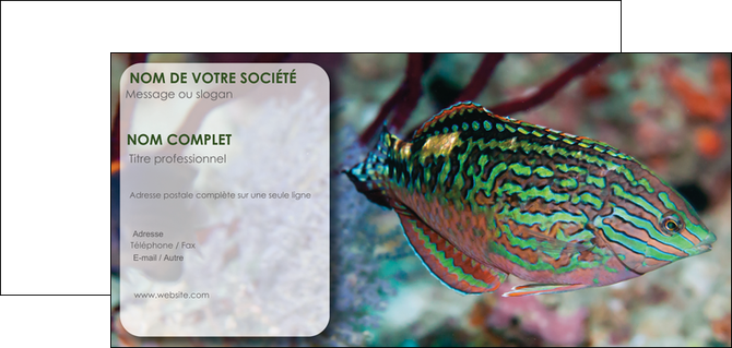 modele carte de correspondance plongee  poisson plongee nature MIDBE38178