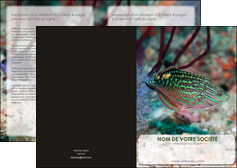 modele depliant 2 volets  4 pages  plongee  poisson plongee nature MIDBE38180
