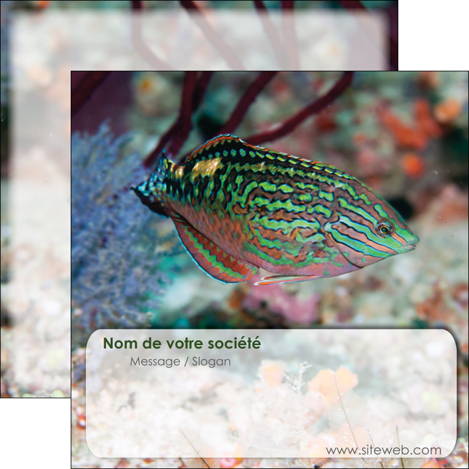 creer modele en ligne flyers plongee  poisson plongee nature MIDBE38186