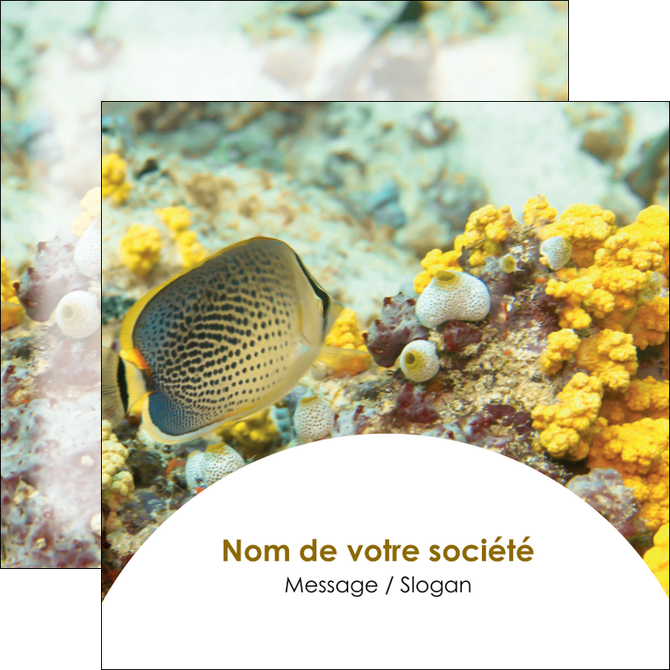 realiser flyers plongee  poisson plongee nature MIDBE38224