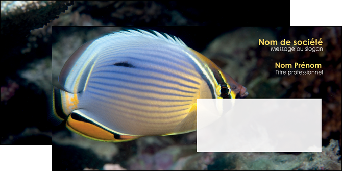 imprimerie enveloppe animal poisson animal nature MIDLU38934