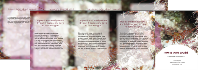 creation graphique en ligne depliant 4 volets  8 pages  poisson et crustace crevette crustace animal MIDLU39002