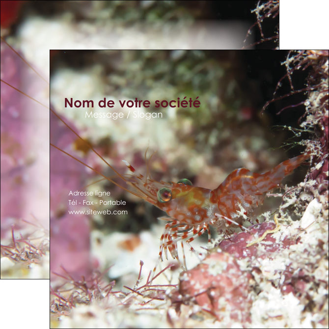 imprimerie flyers poisson et crustace crevette crustace animal MIDLU39004