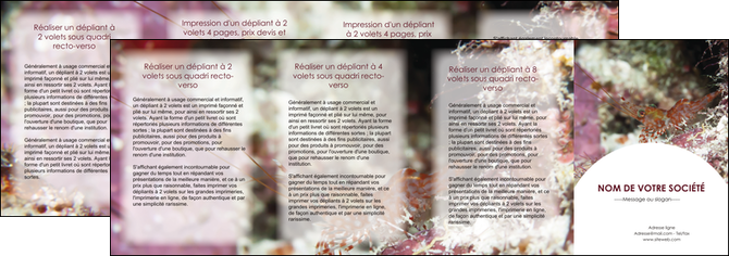 creation graphique en ligne depliant 4 volets  8 pages  poisson et crustace crevette crustace animal MIDLU39014