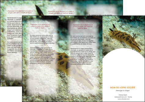 imprimerie depliant 3 volets  6 pages  animal crevette crustace animal MIDLU40130