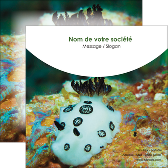 creer modele en ligne flyers animal poisson sous marine nature MIDBE40156