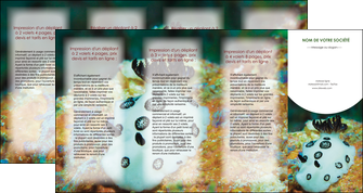 modele depliant 4 volets  8 pages  animal poisson sous marine nature MIDBE40166