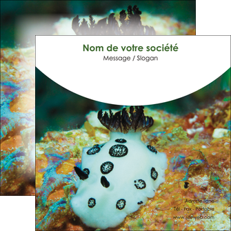 personnaliser maquette flyers animal poisson sous marine nature MIDBE40172