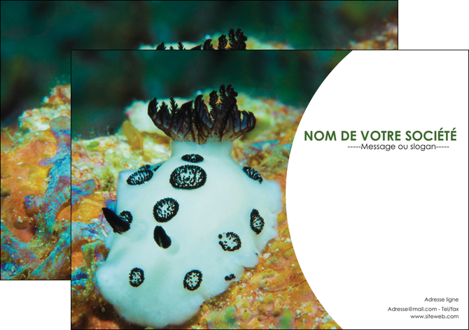 faire flyers animal poisson sous marine nature MIDBE40180