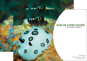 faire flyers animal poisson sous marine nature MIDBE40180