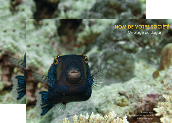 maquette en ligne a personnaliser affiche animal poisson sous marine nature MIDBE40206