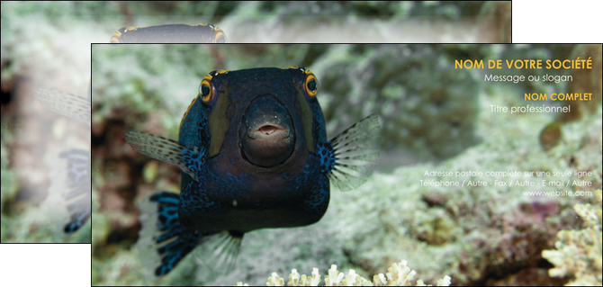 modele en ligne carte de correspondance animal poisson sous marine nature MIDBE40210