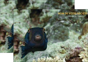 personnaliser maquette affiche animal poisson sous marine nature MIDBE40230