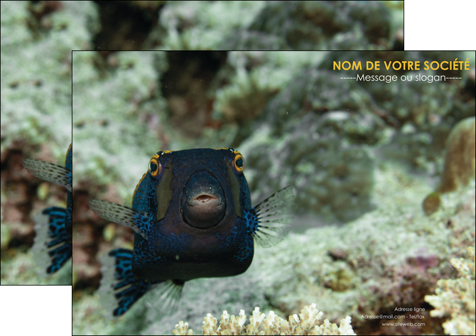 creer modele en ligne affiche animal poisson sous marine nature MIDBE40236