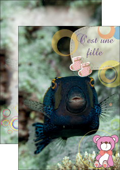 impression flyers poisson sous  mer plongee MIDBE40350