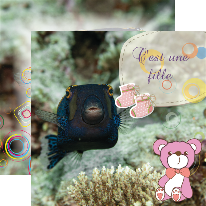 modele flyers poisson sous  mer plongee MIDBE40352