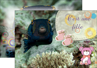 modele en ligne flyers poisson sous  mer plongee MIDBE40356