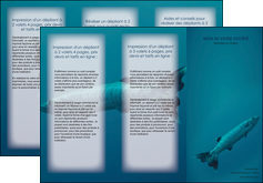 imprimer depliant 3 volets  6 pages  animal poisson plongee nature MIDBE40360