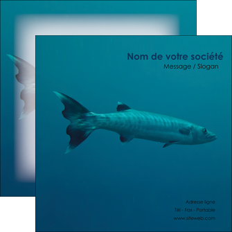 faire flyers animal poisson plongee nature MIDBE40378