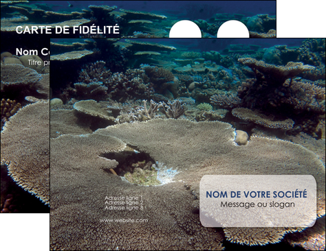 faire carte de visite plongee  massif de corail mer nature MIDBE40656